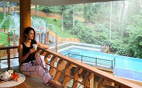 Peter'S Coffee Creek Nature Resort